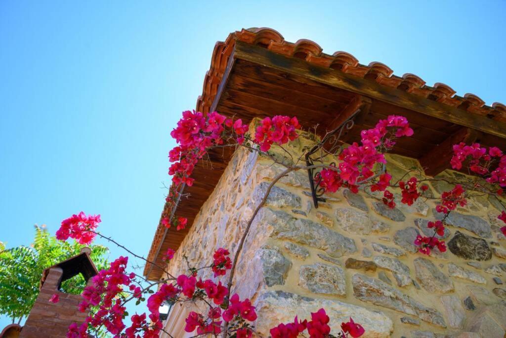 Marigoula House Villa Pombia Dış mekan fotoğraf